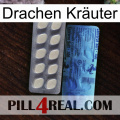 Drachen Kräuter 34